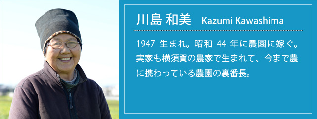 prof_k_kazumi